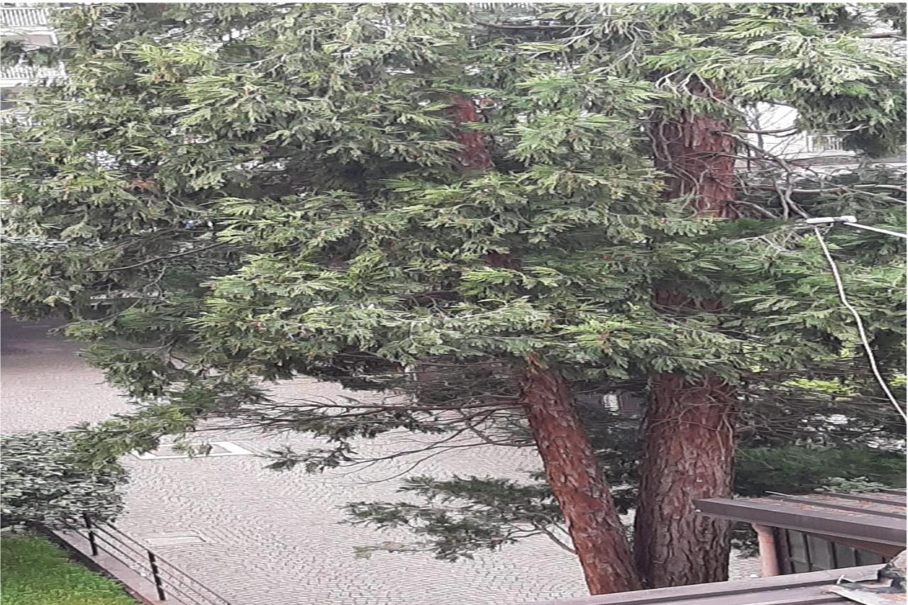 Bomboniera Sui Navigli Con A/C & Wi-Fi Διαμέρισμα Μιλάνο Εξωτερικό φωτογραφία